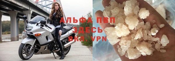 спиды Лиски