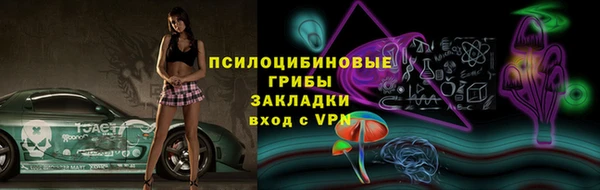 спиды Лиски