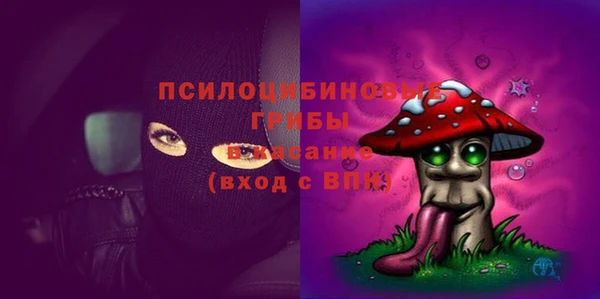 спиды Лиски
