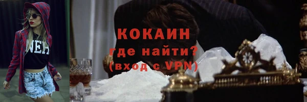 спиды Лиски