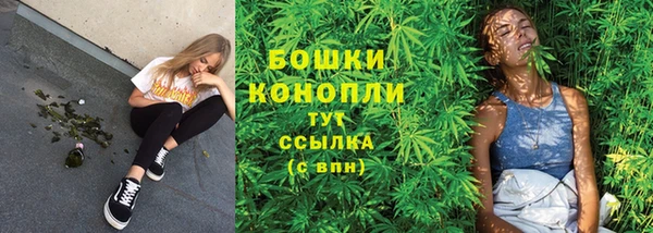 спиды Лиски