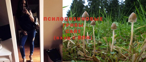 спиды Лиски