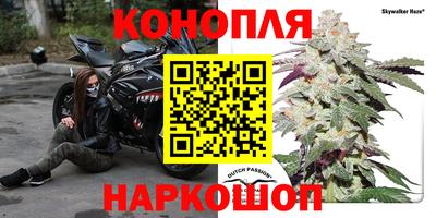 соль ск Гатчина