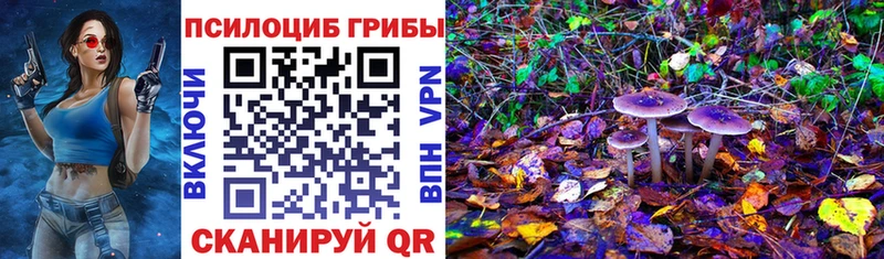 Галлюциногенные грибы MAGIC MUSHROOMS  Домодедово 