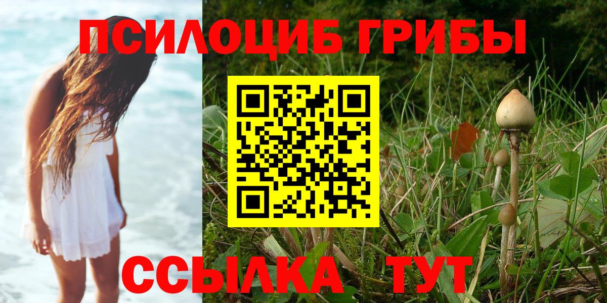 Псилоцибиновые грибы мухоморы  Домодедово 