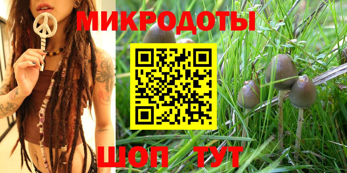 Псилоцибиновые грибы мицелий  Псилоцибиновые грибы прущие грибы  Домодедово  Вход с VPN 